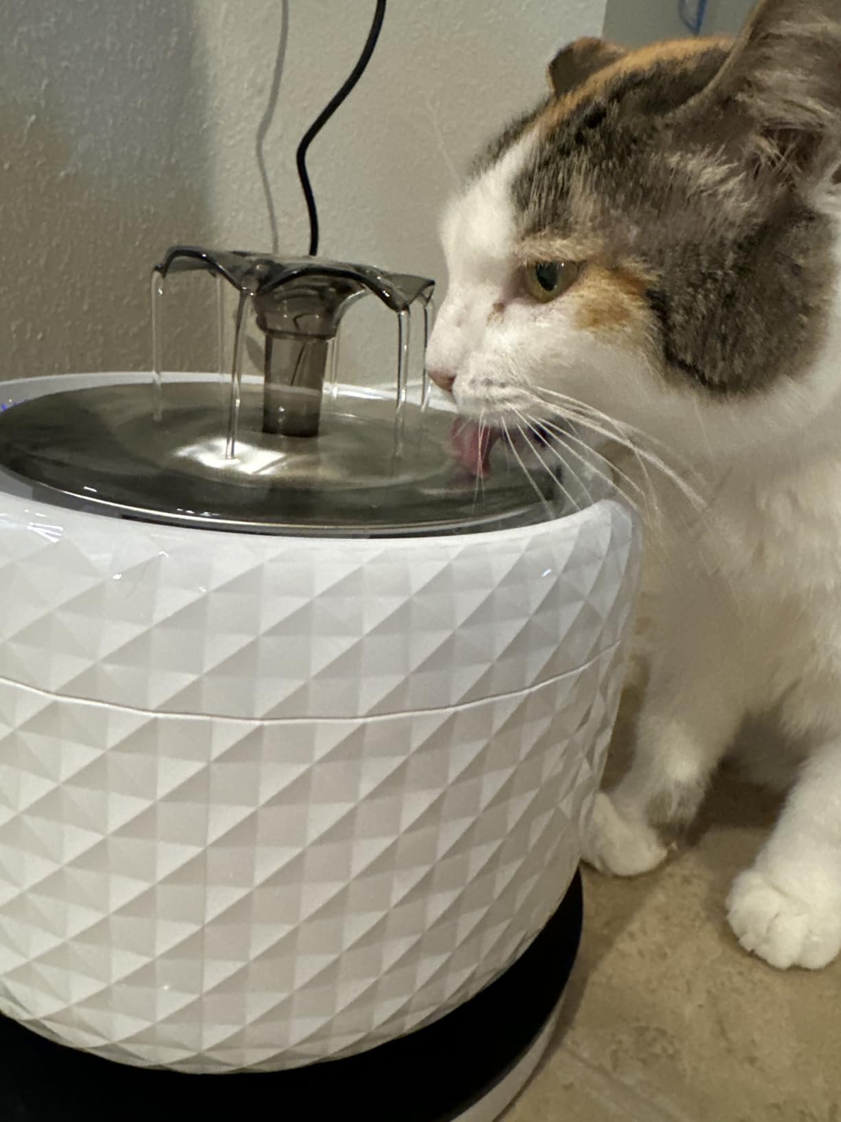 118oz/3.5L Smart Cat Water Fountain with App Control, Kitty spout cat Water Fountain, Ultra Quiet Pet Water Fountain for Cat Indoor, 2.4GHz Wi-Fi customer photo 2