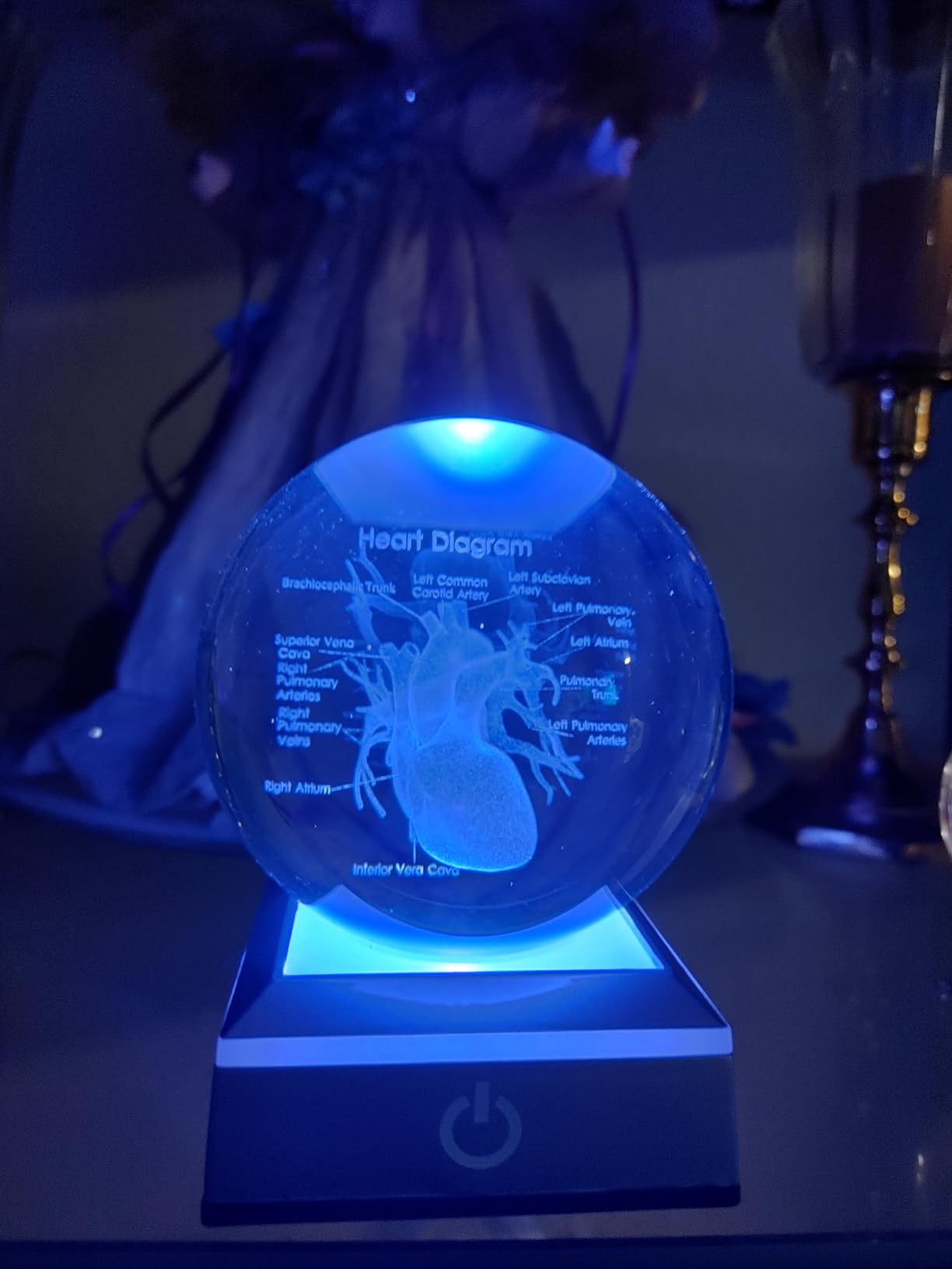 3D Human Skeleton 3.15 in. Crystal Ball Gifts for Surgeon Doctor Osteologist, Glass Sphere Etched Anatomy Model Keepsake for Men Office Decoration with LED Light Base customer photo 1