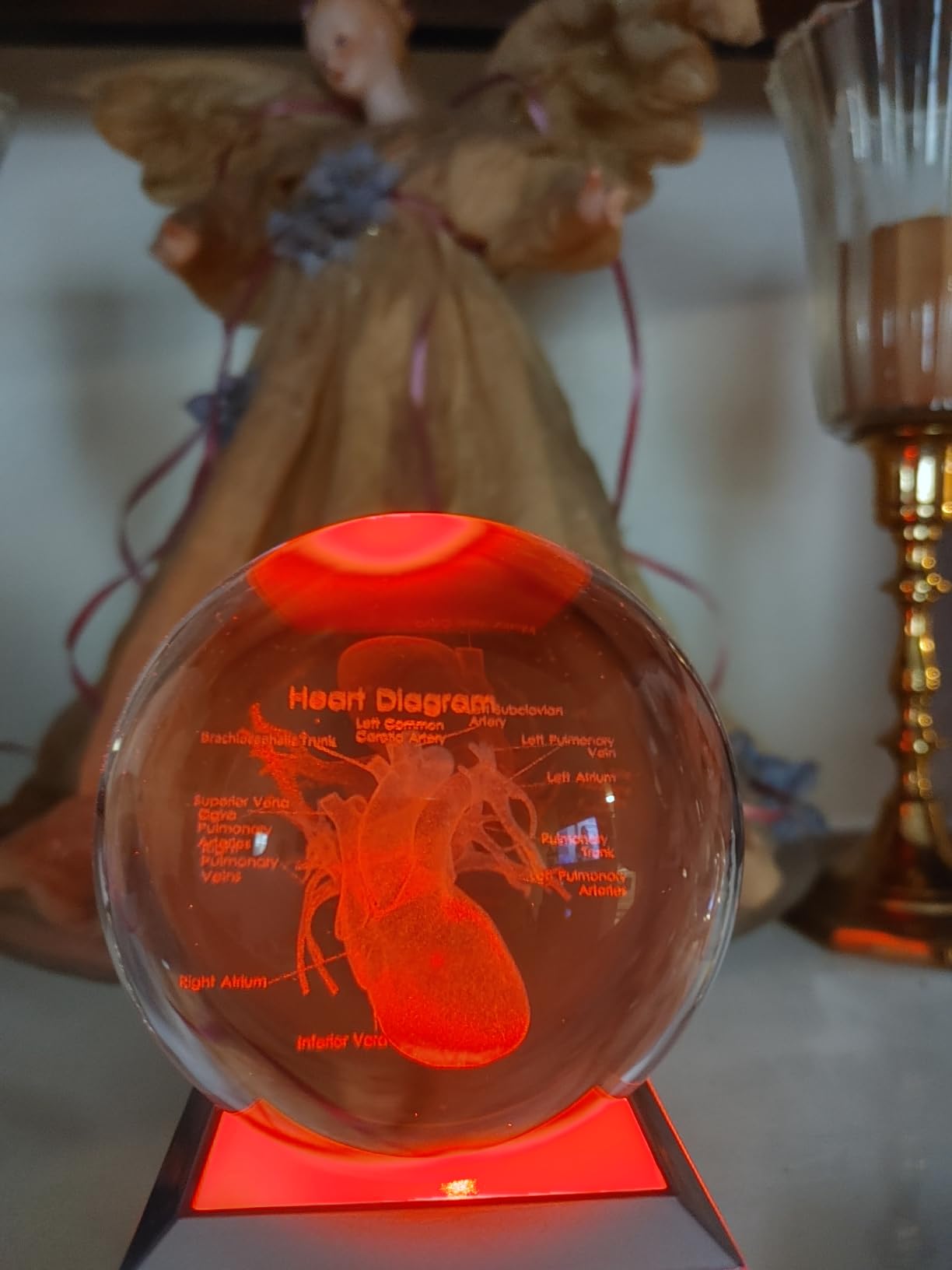 3D Human Skeleton 3.15 in. Crystal Ball Gifts for Surgeon Doctor Osteologist, Glass Sphere Etched Anatomy Model Keepsake for Men Office Decoration with LED Light Base customer photo 2