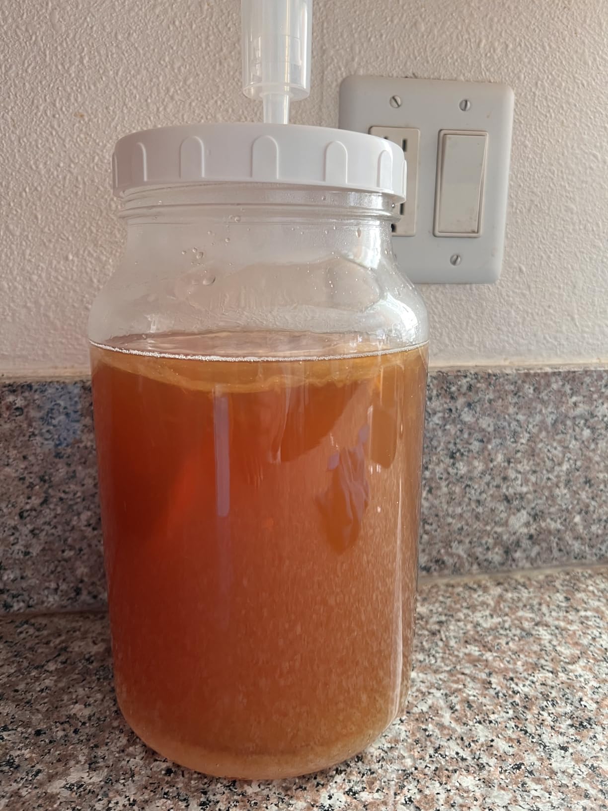 2 Gallon Glass Jar with Airtight Lid, Wide Mouth Wine Making Supplies with 2 Airlocks(7600ML), Pickle Jar, Gallon Fermentation Jar with Clear Scale Marks for Home Brew, Kombucha, Cider, Beer customer photo 2