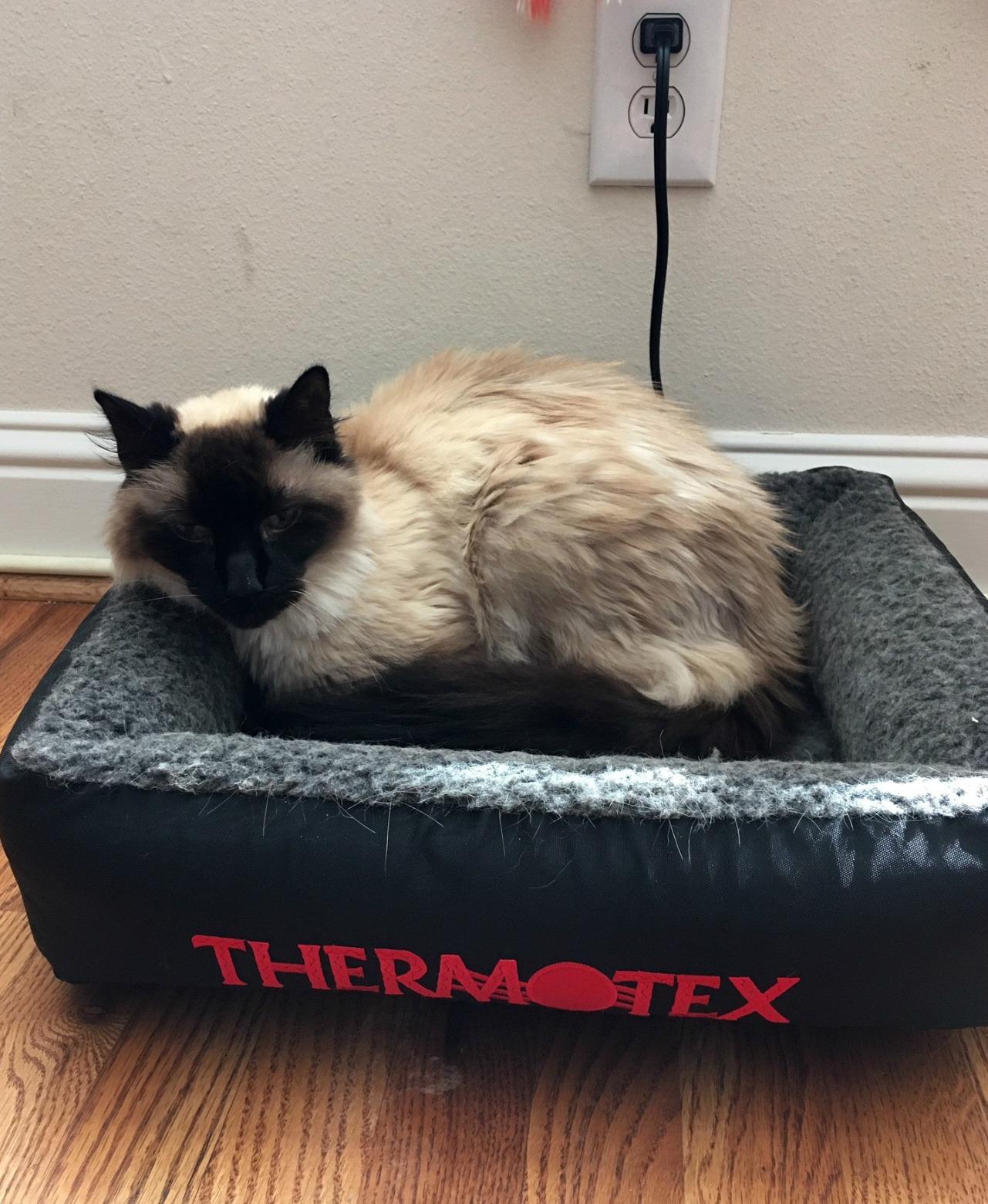 Thermotex Far Infrared Heated Pet Bed - Heated Cat & Dog Bed for Pain Relief & Arthritis - Therapeutic Heat Pad for Elderly Pet Support & Relaxation - Machine Washable customer photo 2