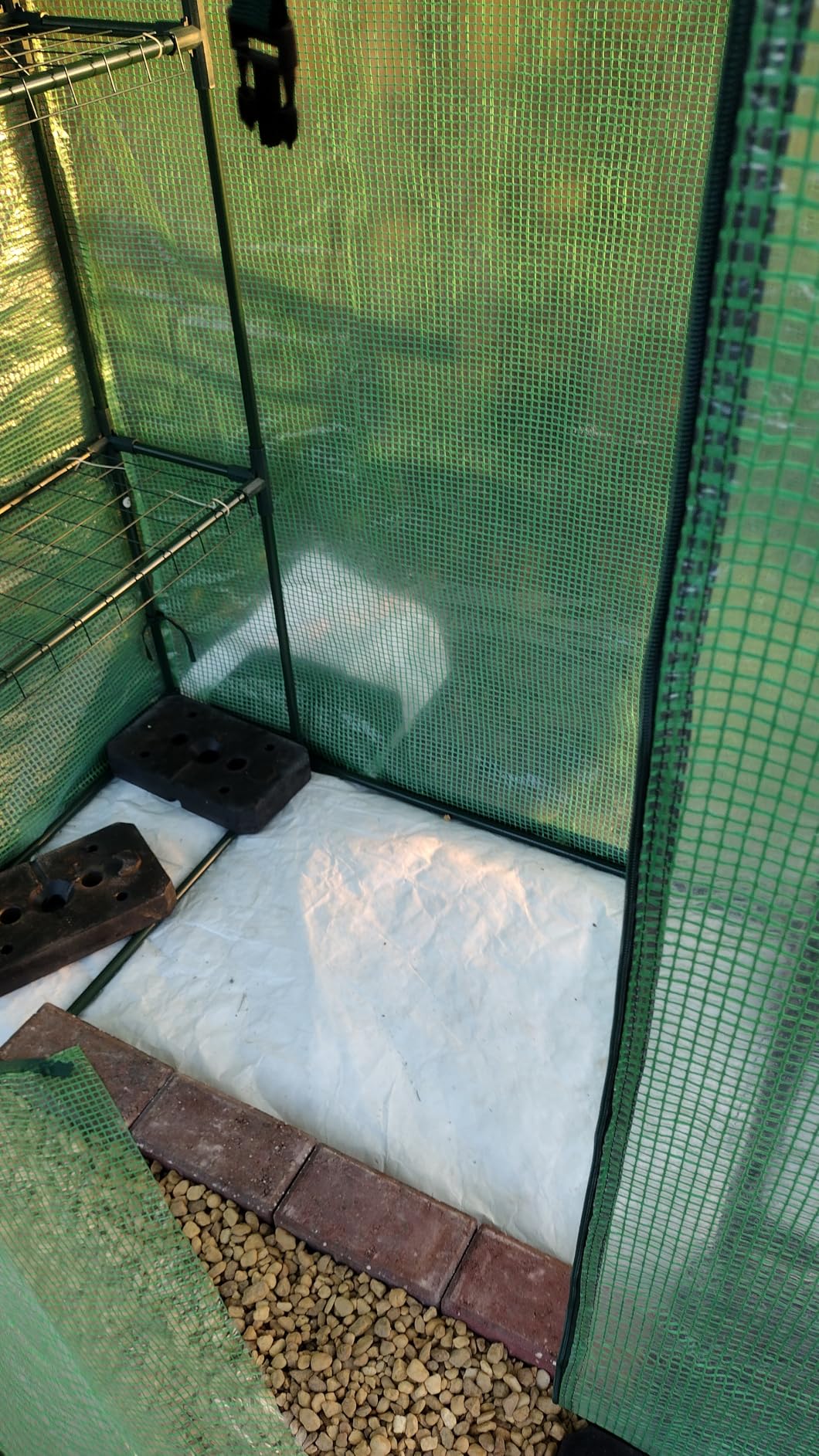 VEVOR Walk-in Tunnel Greenhouse, 9.6x6.4x6.2 ft Hoop House with Galvanized Steel Frame, PE Cover, Roll-up Zipper Door and 6 Windows customer photo 2