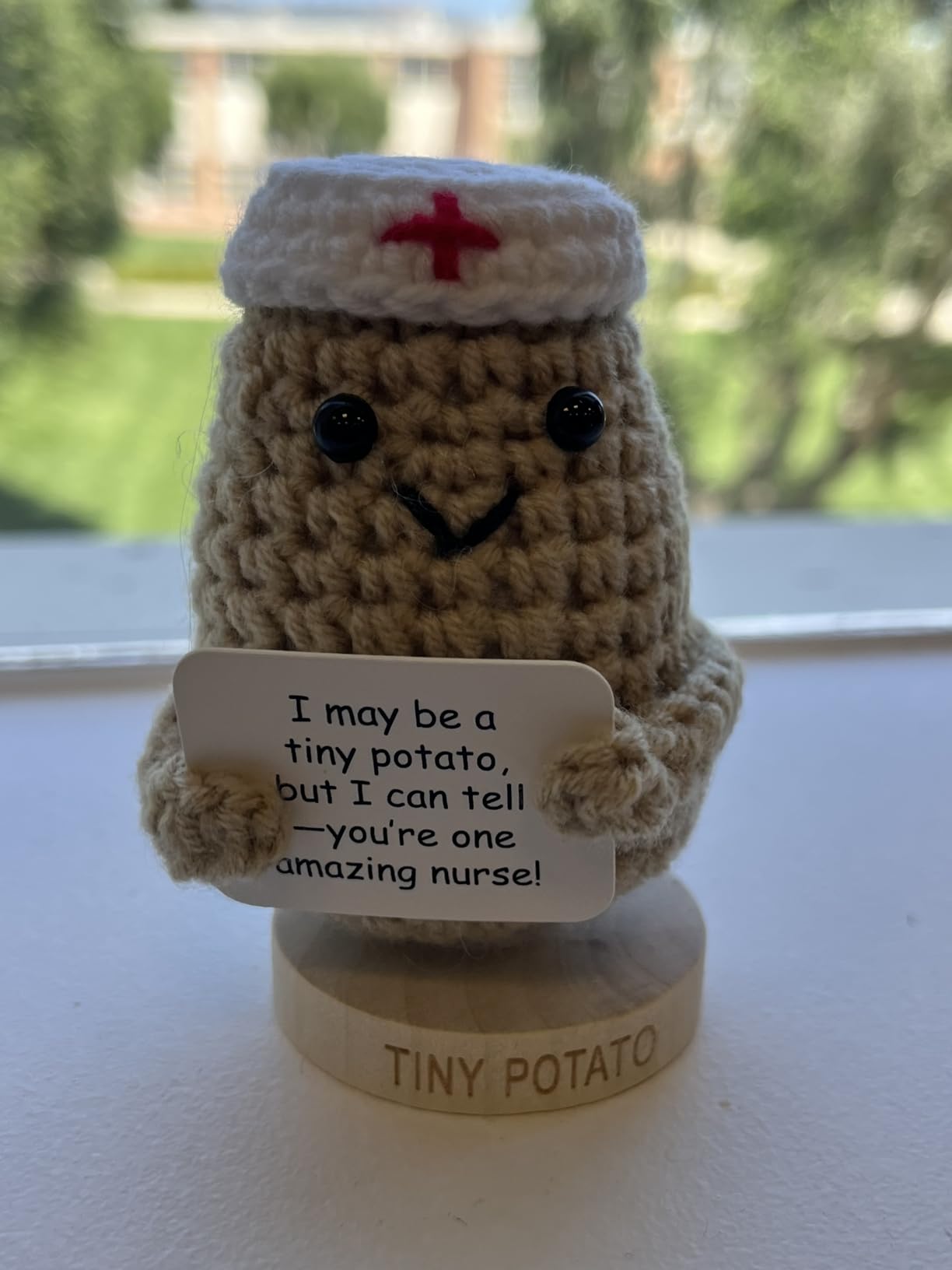 Doctor Gifts - Handmade Crochet Potato Doll with 30 Cute Appreciation Signs for Doctors - Funny Gift Idea for Women DR for Birthday, Mothers Day, Retirement - Bulk Staff Appreciation Thank You Present customer photo 1