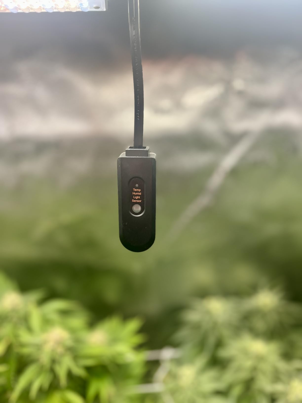 Spider Farmer GGS AC5 Power Strip Kits, 5 AC APP-Based Controls Outlets, 3 in 1 Soil Sensor, Temp Humid Light Sensor, for Indoor Grow Tent and Room customer photo 2
