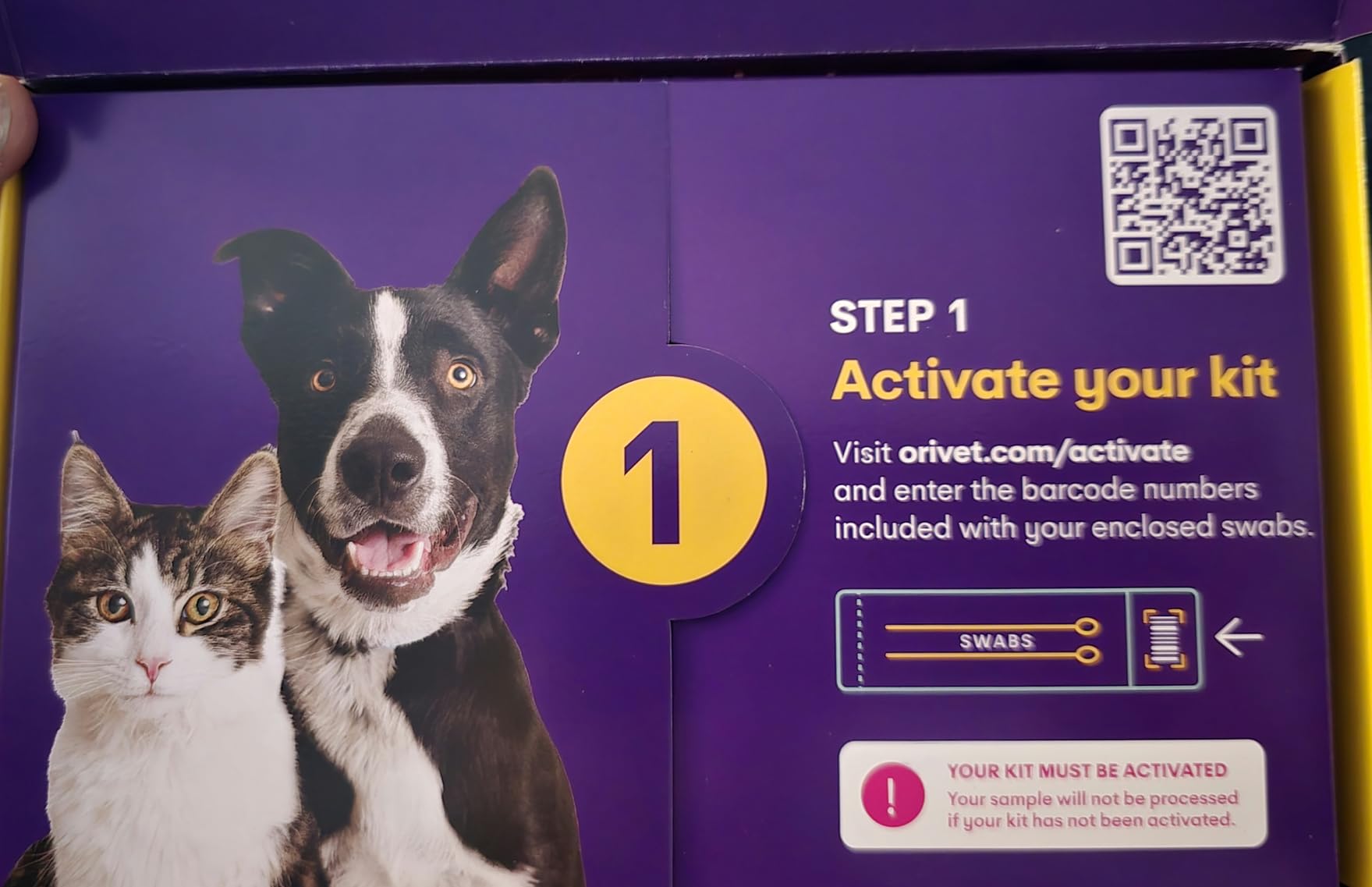 ORIVET Dog DNA Test Kit - Comprehensive Dog DNA Test Kit for 365+ Breed Identification & 265 Health Markers | At Home Dog DNA Kit with Canine Genetic Testing & Life Plan Genopet Rescue customer photo 1