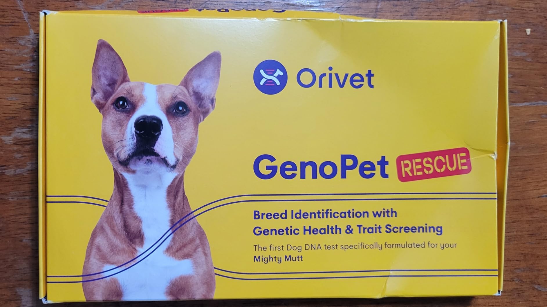 ORIVET Dog DNA Test Kit - Comprehensive Dog DNA Test Kit for 365+ Breed Identification & 265 Health Markers | At Home Dog DNA Kit with Canine Genetic Testing & Life Plan Genopet Rescue customer photo 2