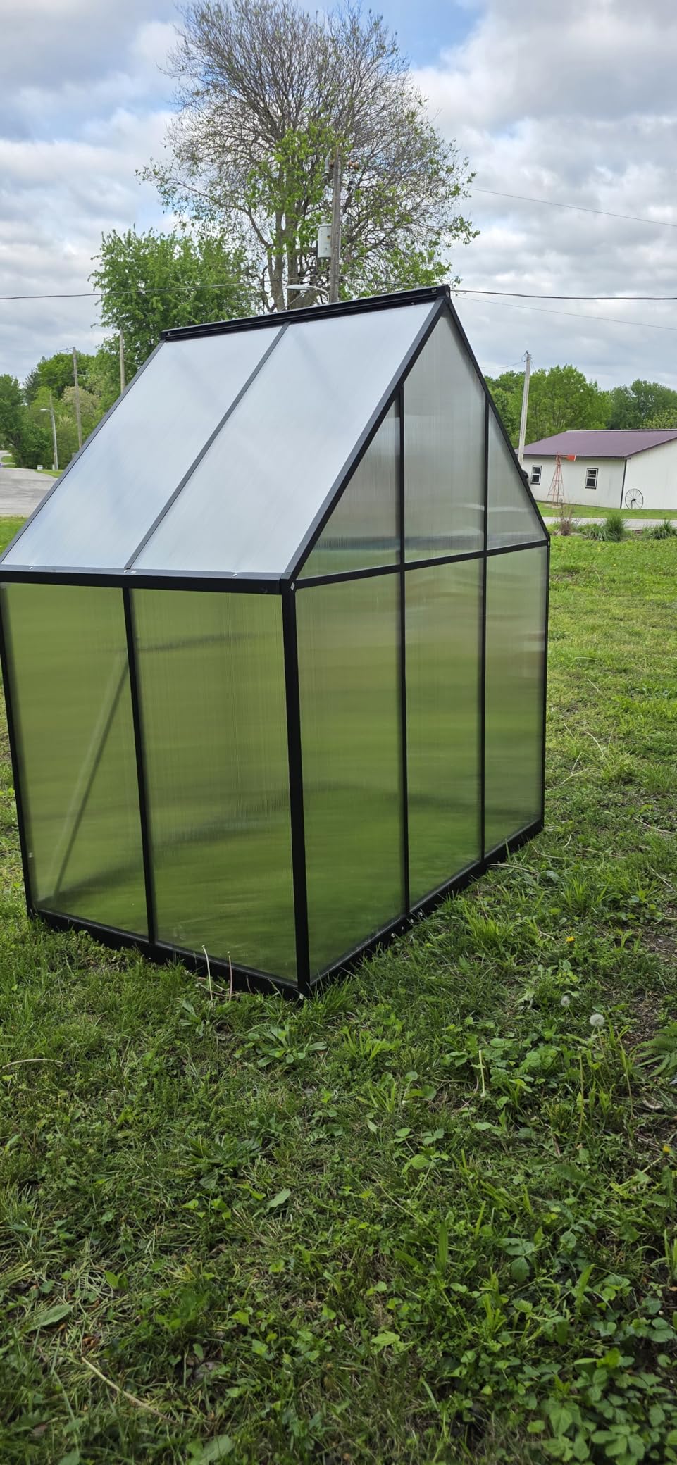 8X10FT Greenhouses for Outdoors with Electronic Thermometers, Green Houses for Outside with Drainage Channel Roof Vent for Backyard, Walk-in Greenhouse Kit Withstands Strong Wind or Snow customer photo 2