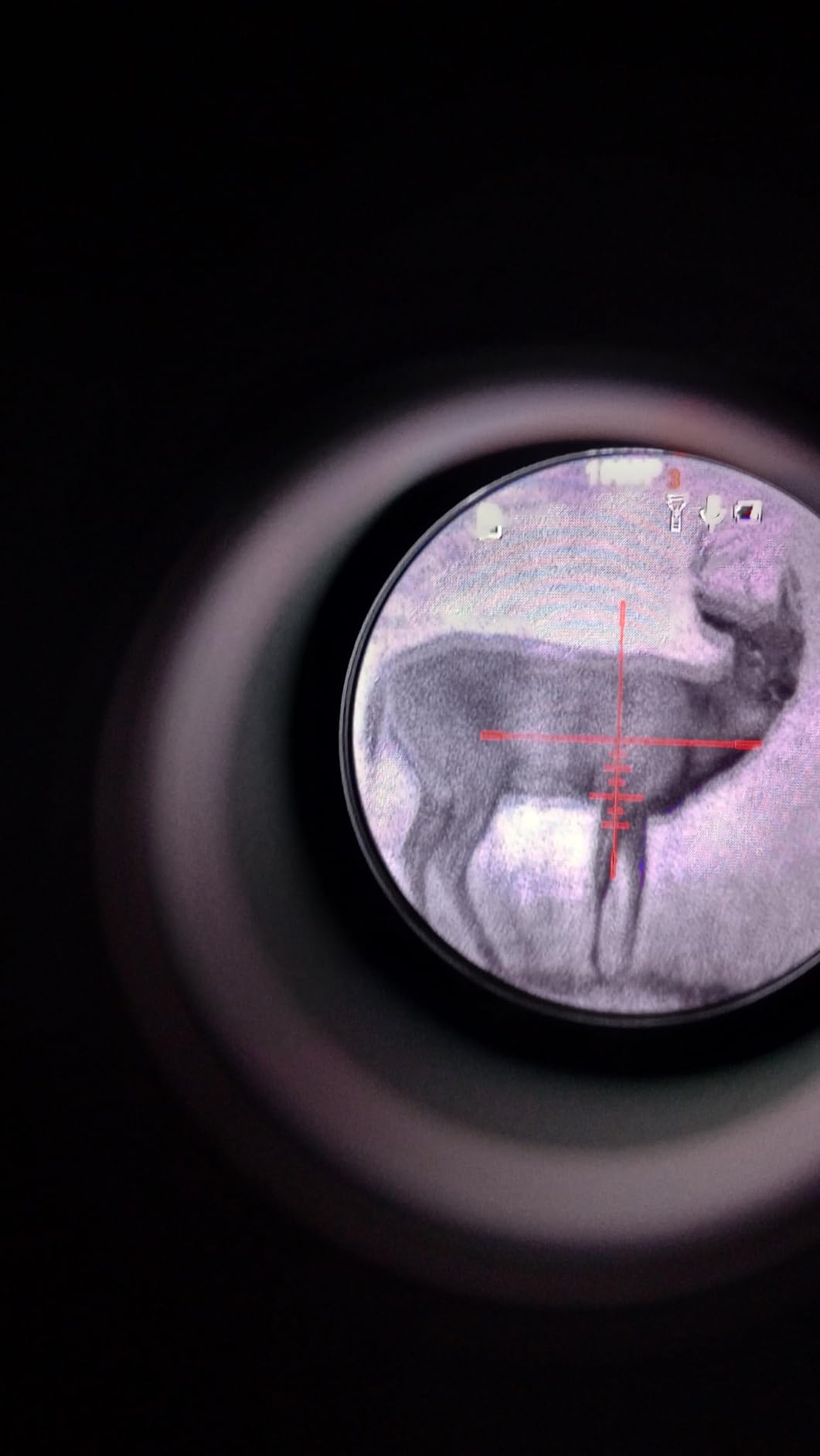 GOYOJO Digital Night Vision Scope Day & Night Hunting Rifle Optics 1080P/2K customer photo 2