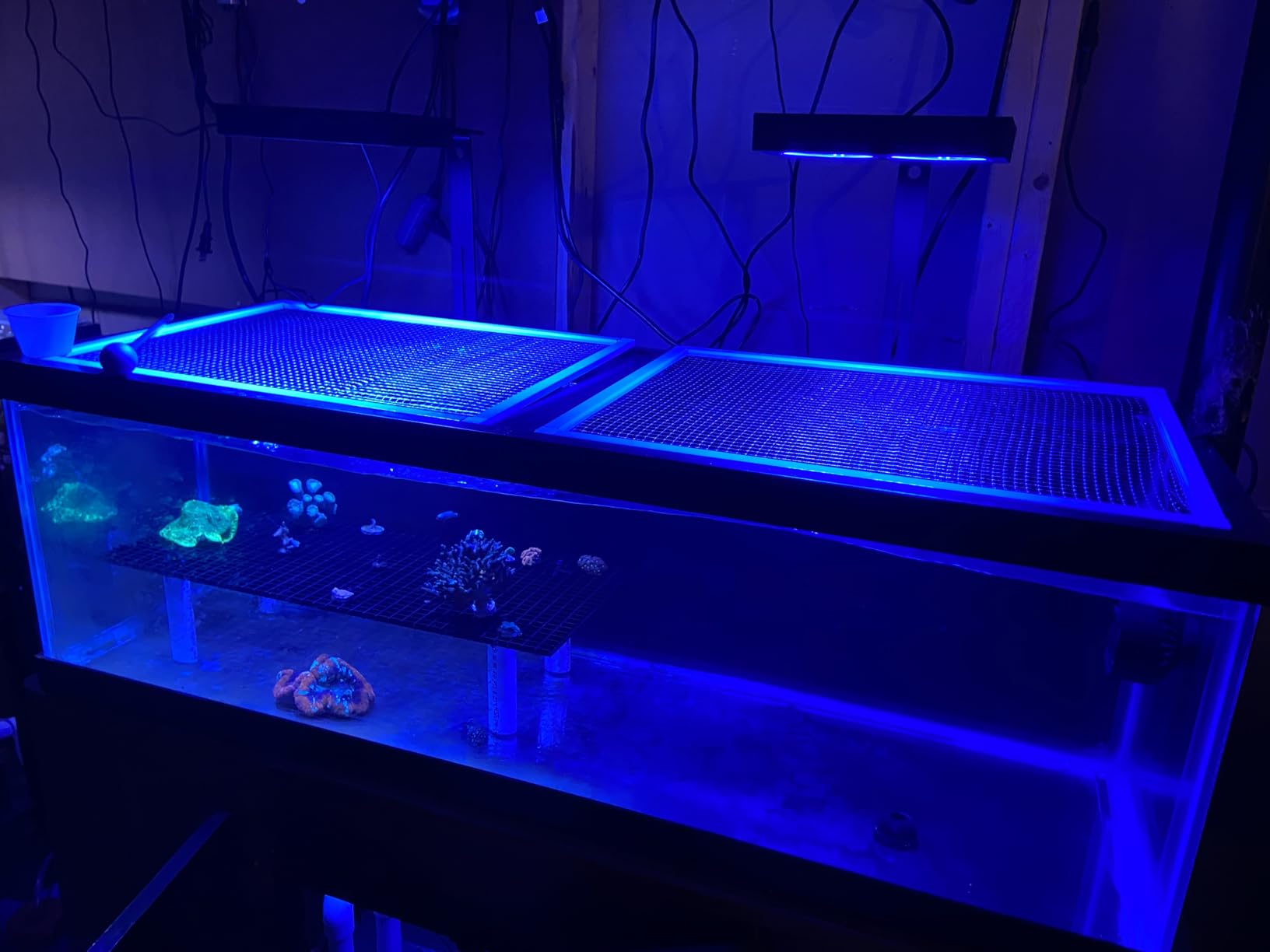 NICREW NavaReef 135 Reef LED Light, 135W Reef Aquarium Lighting for LPS/SPS Corals and Saltwater Fish Tanks, Built-in Timer customer photo 2