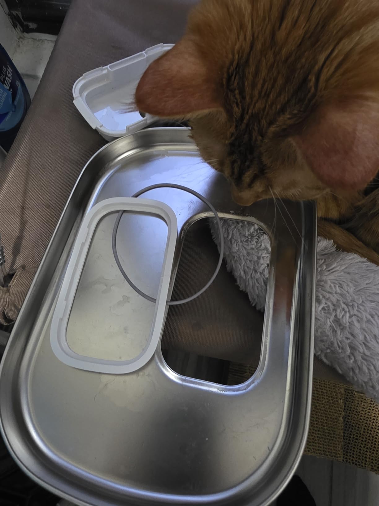 PETLIBRO App-Controlled Cat Water Fountain, Pet Water Fountain with Stainless Steel Tray, Water Fountains for Cats Indoor with Drinking Monitoring, Cat Fountains for Drinking with 2 Wireless Pumps customer photo 2