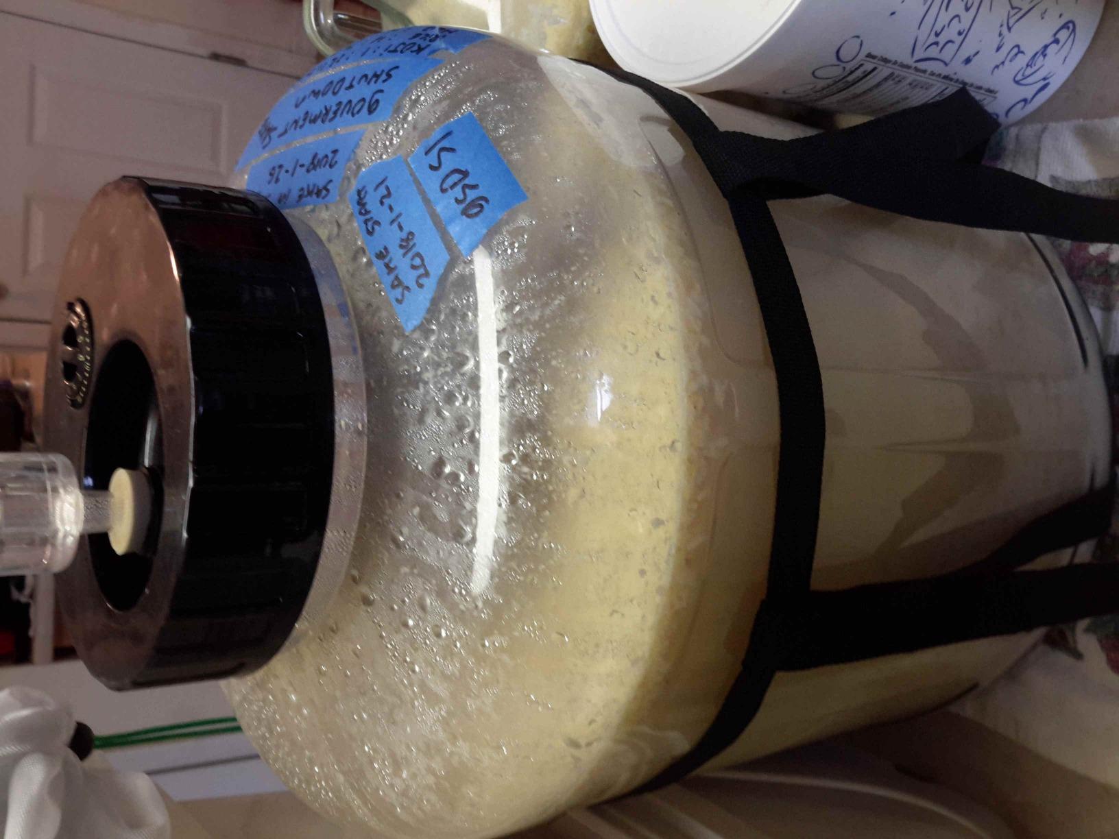 Kegco 7.1 Gallon Wide Mouth Glass Carboy Fermenter Homebrew Beer & Wine Making customer photo 1