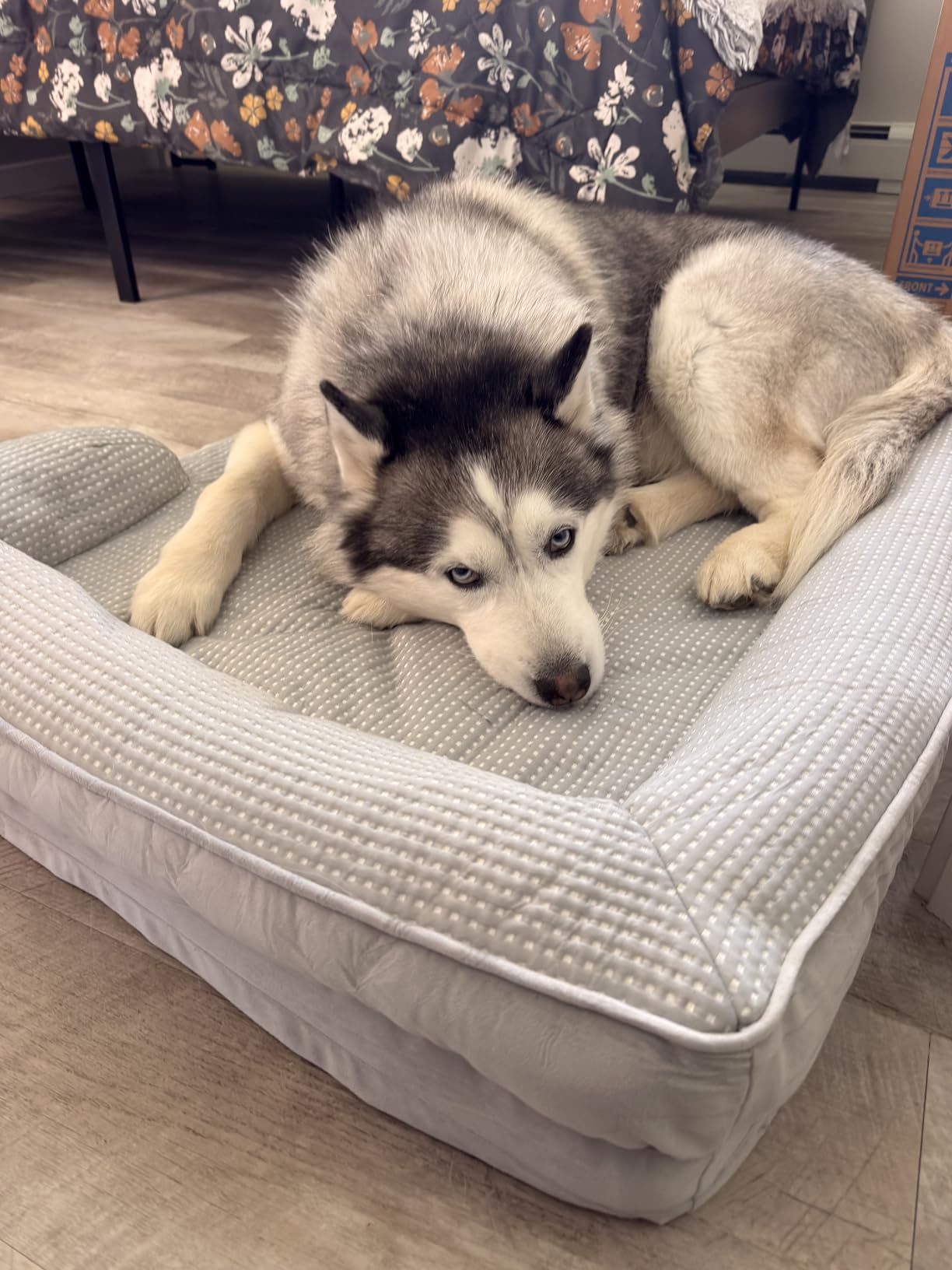 Bedsure Cooling Dog Bed for Small Dogs - Orthopedic Small Dog Cat Cooling Bed Washable, Comfort Pet Couch Sofa with Waterproof Removable Cover, Pets Bed with Nonskid Bottom, Cooling Blue, 24