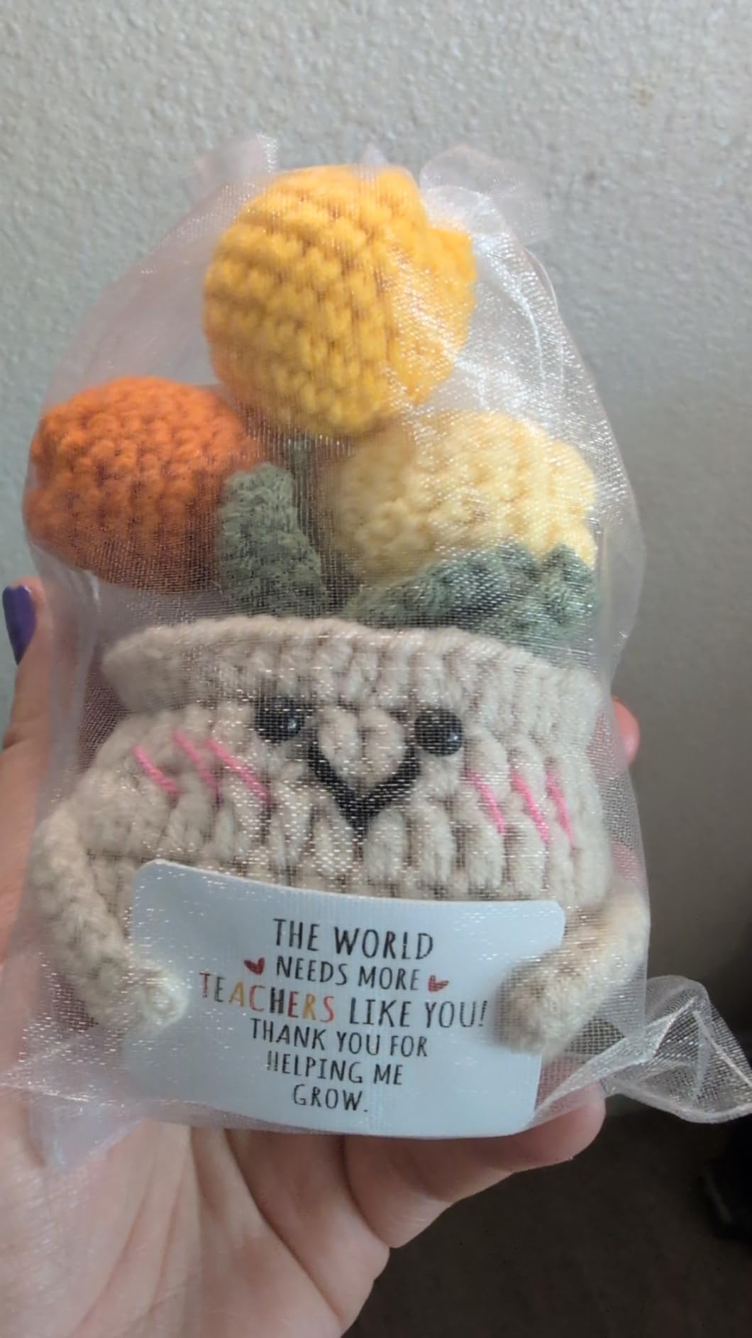 OASSIE Teacher Appreciation Gifts for Women Men - Handmade Positive Tulip Crochet Flowers - Teachers Day Graduation Birthday Thank You Appreciation School Retirement Gifts for Teachers from Student customer photo 1