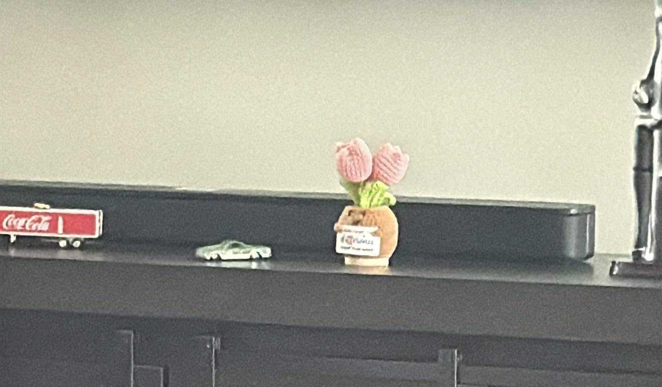 Gossby Handmade Positive Tulip Flower Crochet - Never Forget The Different That You Make - Inspirational Gift for Women - Thank You, Appreciation, Positive Gift for Teacher, Mom, Friend, Coworker customer photo 1
