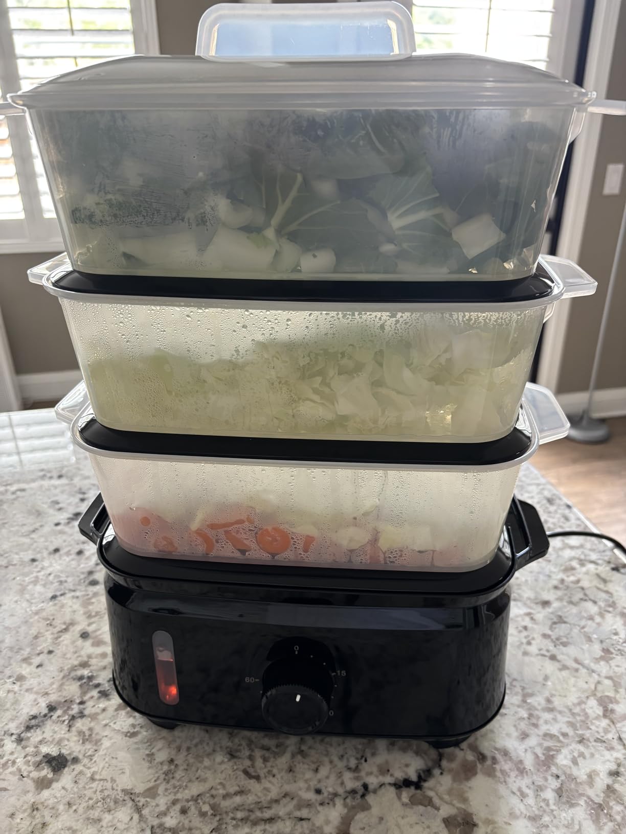 Amazon Basics Electric Food Steamer for Cooking Vegetables, 3-Tier Design, 60-Minute Timer with Auto Shutoff, Easy Water Refill System, BPA-Free, 9.5 QT, Black customer photo 2