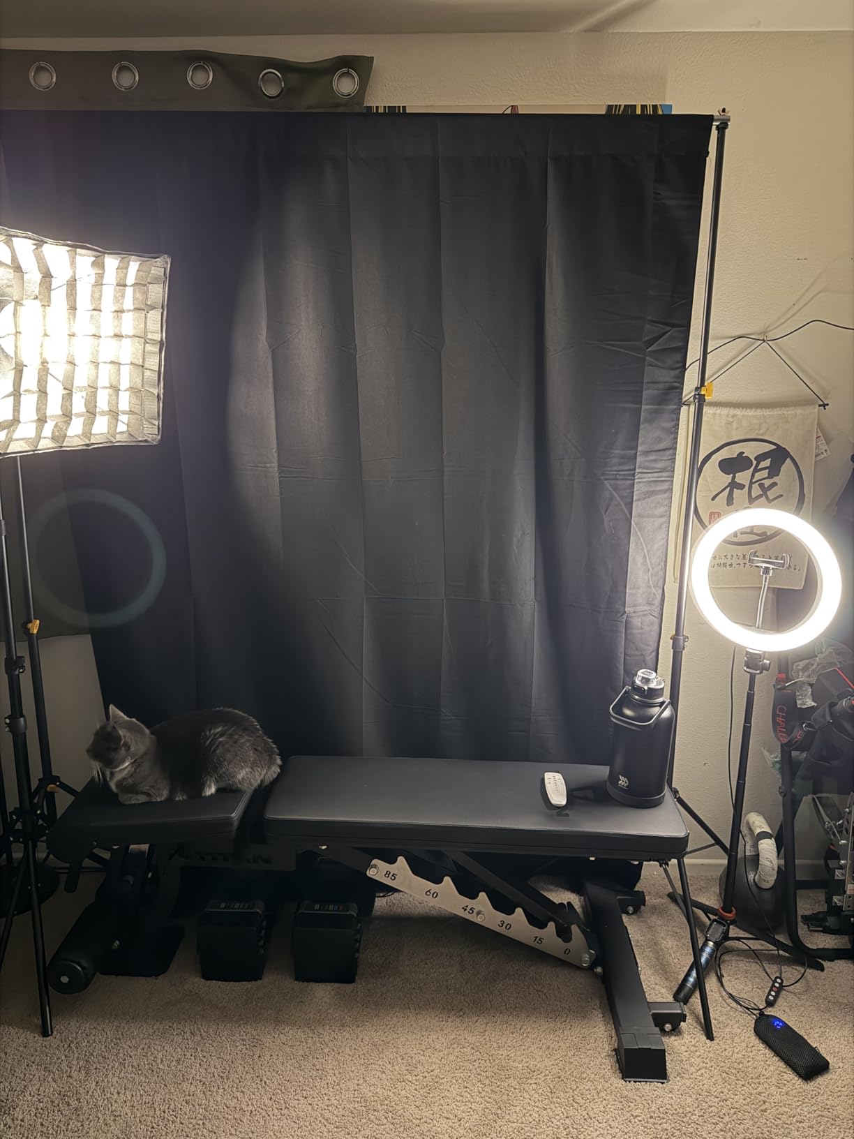 EMART Softbox Photography Lighting Kit, 16