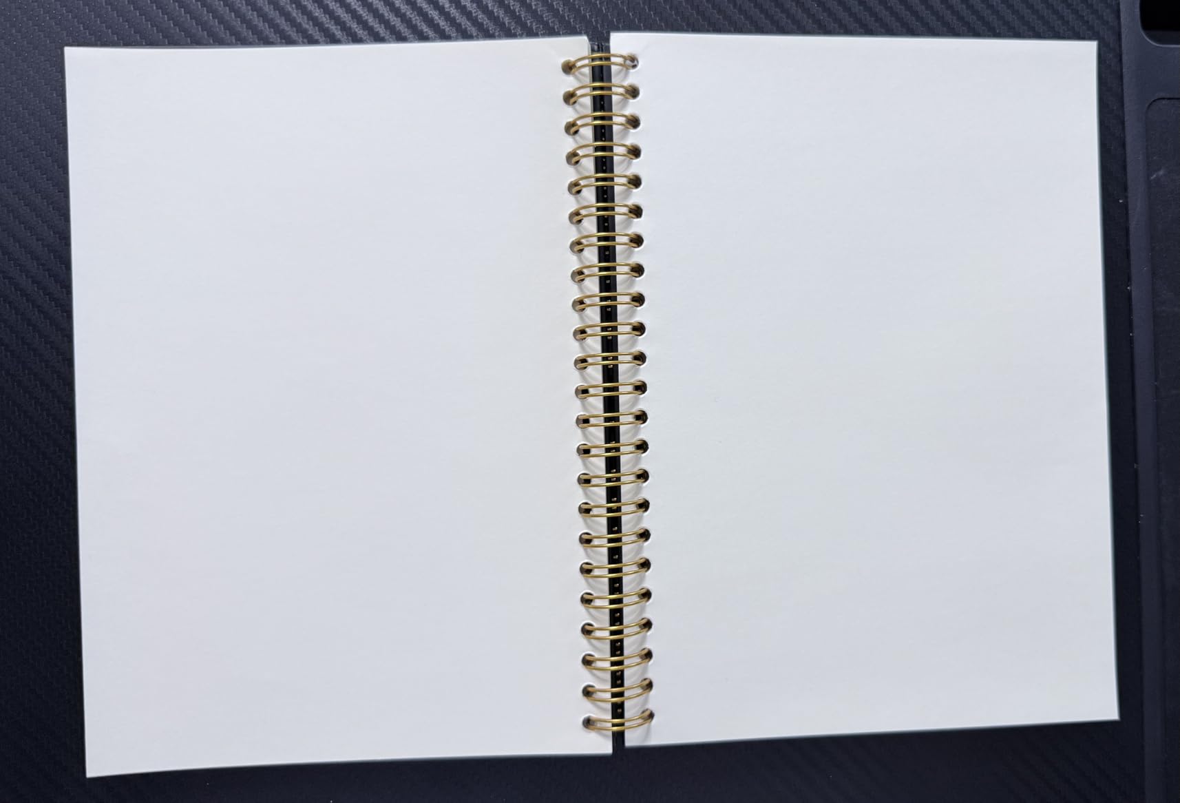 Times I Was Right And Nobody Listened Gold Foil Hardcover 160 Pages Lined Spiral Notebooks, Funny Gag Gifts, Humor Retirement Going Away Present for Leader Supervisor Mentor Manager ? customer photo 1
