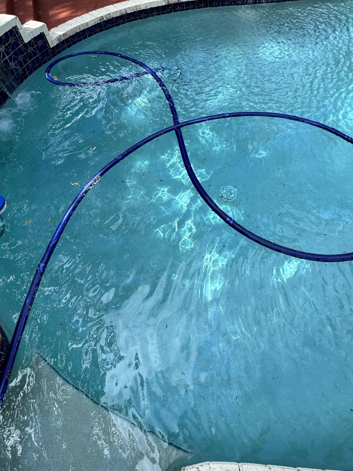 (2025 Upgrade) VINGLI Automatic Suction-Side Pool Vacuum Cleaner, Powerful Wall-Climbing Sweeper for Inground Pools, Includes 39.6ft Tangle-Free Hose (Orange&Gray) customer photo 1