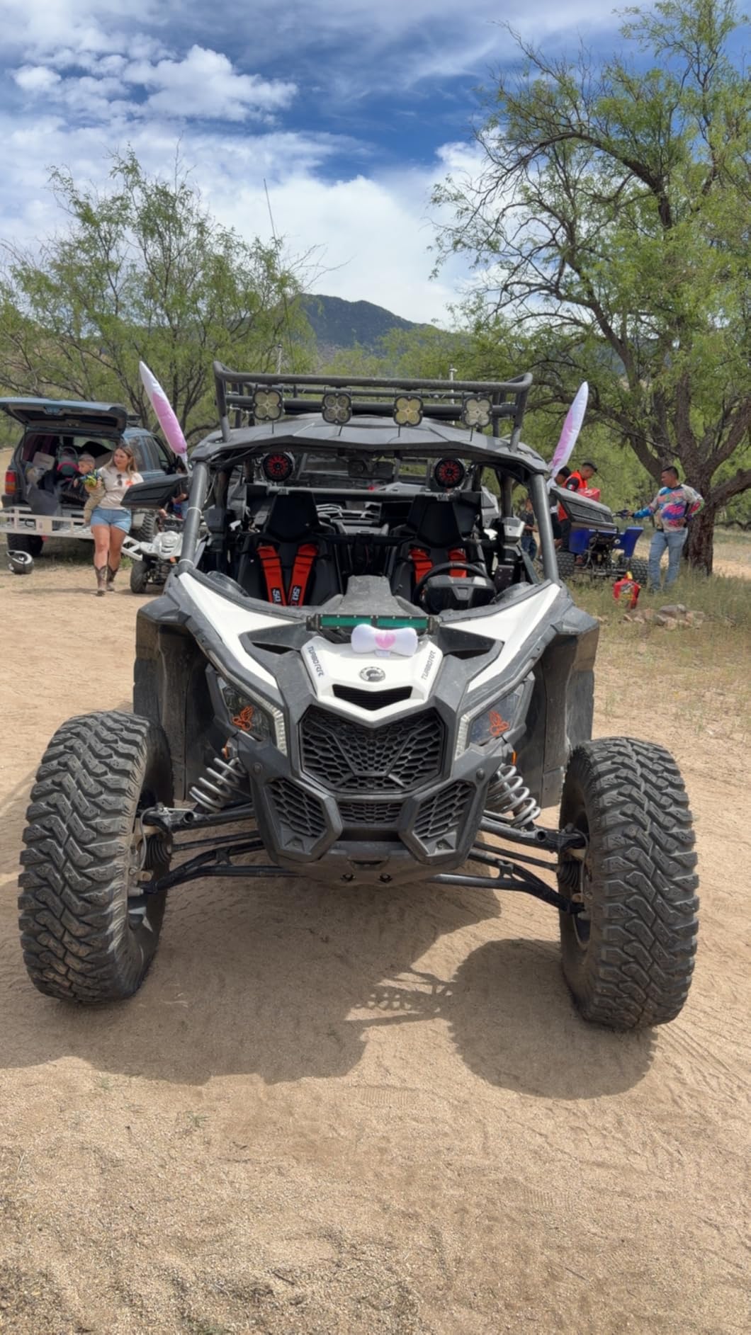 4 Point Harnesses (2) for Bucket Seat, Push Button Release, Silver 3 Inch, Racing Harness 4 Point Race Car UTV RZR customer photo 1