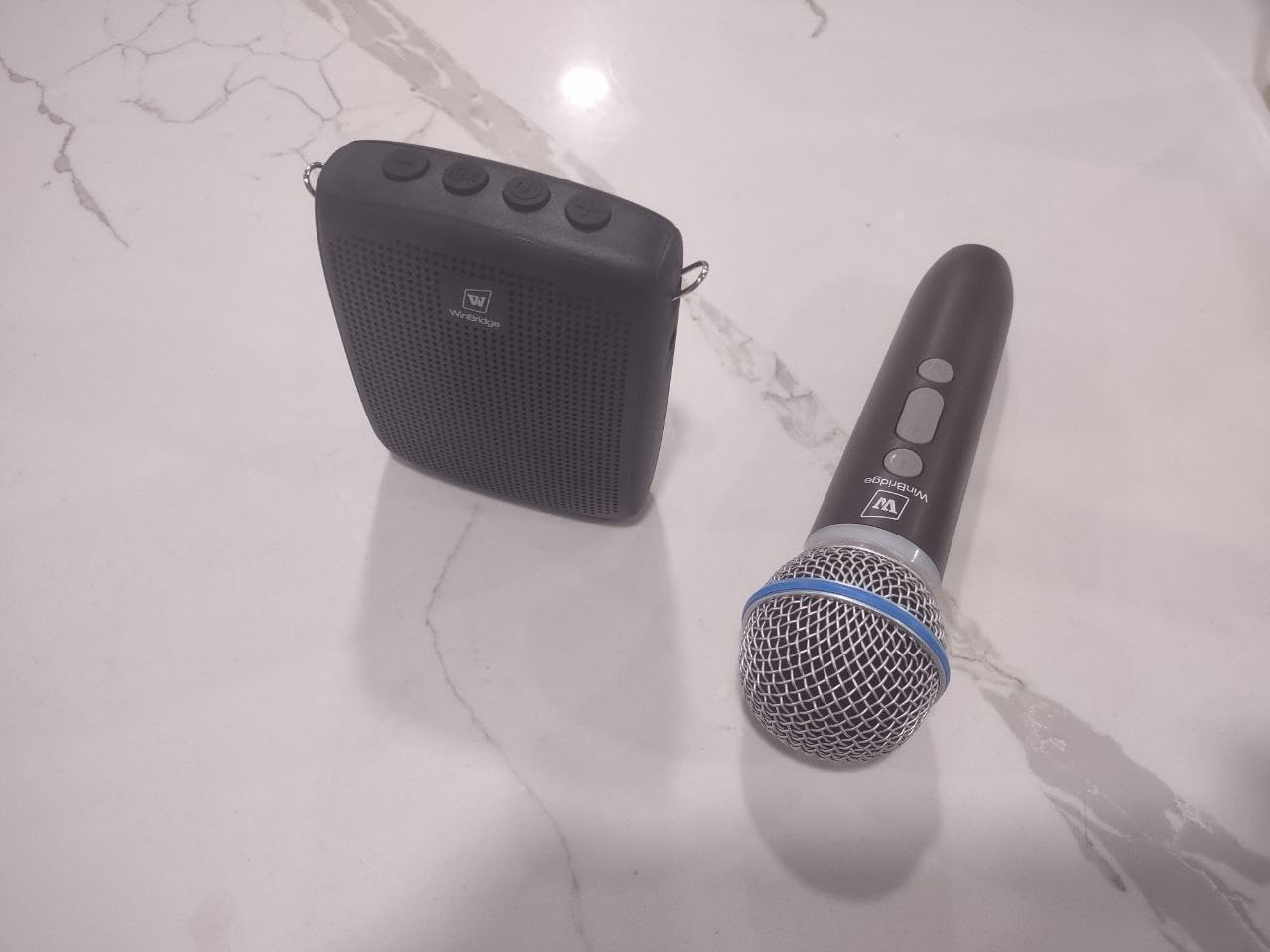 WinBridge Wireless Voice Amplifier with Microphone for Teachers, Portable PA System with Bluetooth Handheld Mic, Portable Speaker Mic Set, Cardioid Pickup for Classroom, Outdoor, Public Speaking WB009 customer photo 1