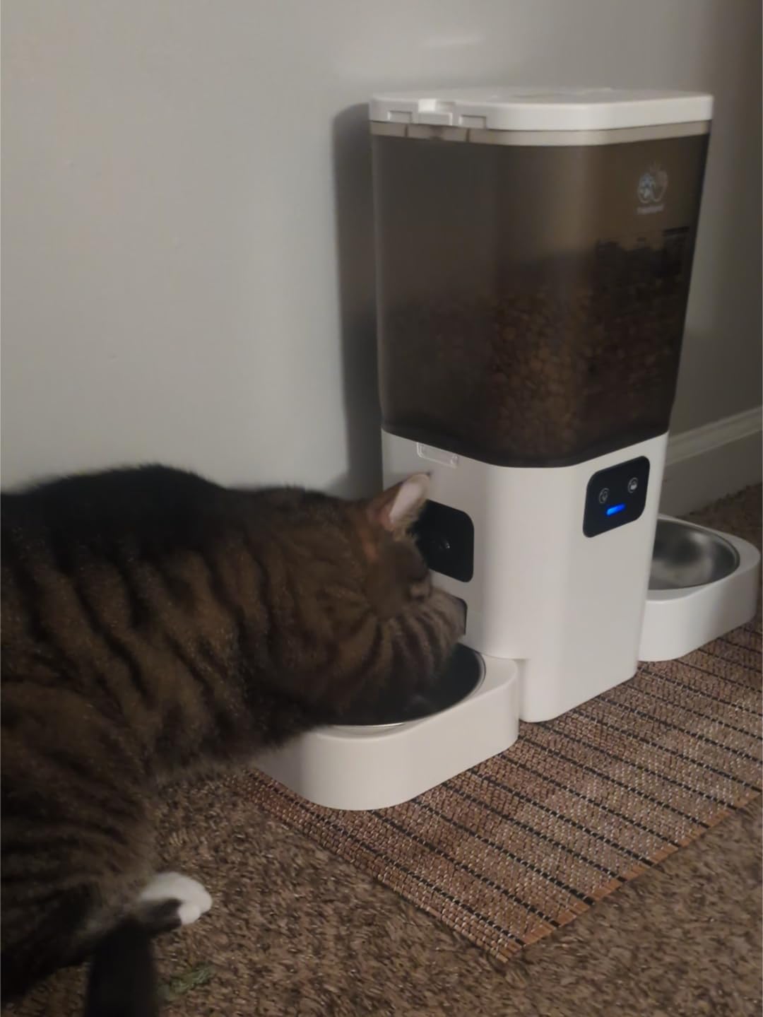 Frienhund Automatic Cat Feeder with Two 1080P Camera for 2 Cats: 7L Automatic Dog Feeder with Night Vision & Slow Feed, 5G WiFi Auto Cat Food Dispenser for Multiple Pet, Detachable for Clean (ACF180W-C) customer photo 1