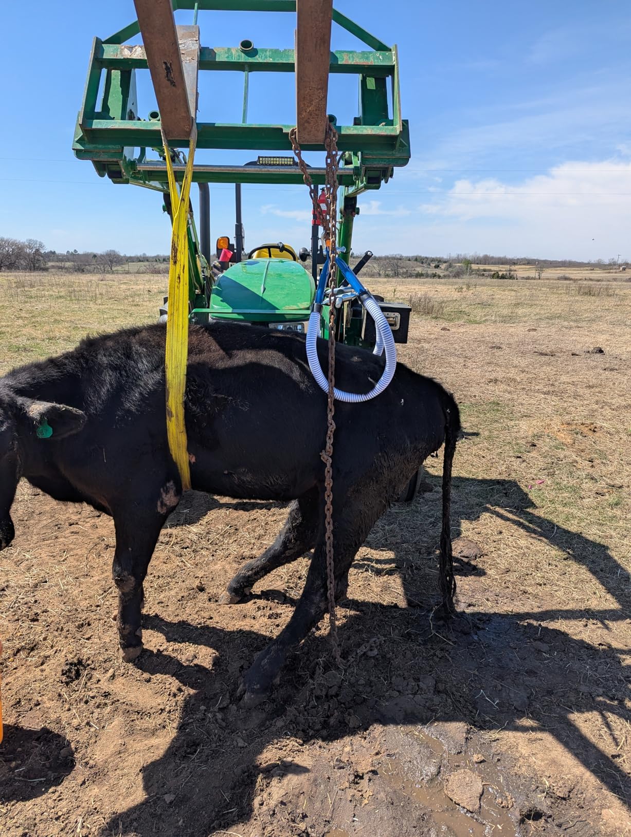4410LB Skin-Safe Cow Hip Lift - Non-Slip Rubber Clamp for Postpartum Paralysis & Calving Assistance, Heavy-Duty Galvanized Steel Cattle Stand Assist (0-35.4
