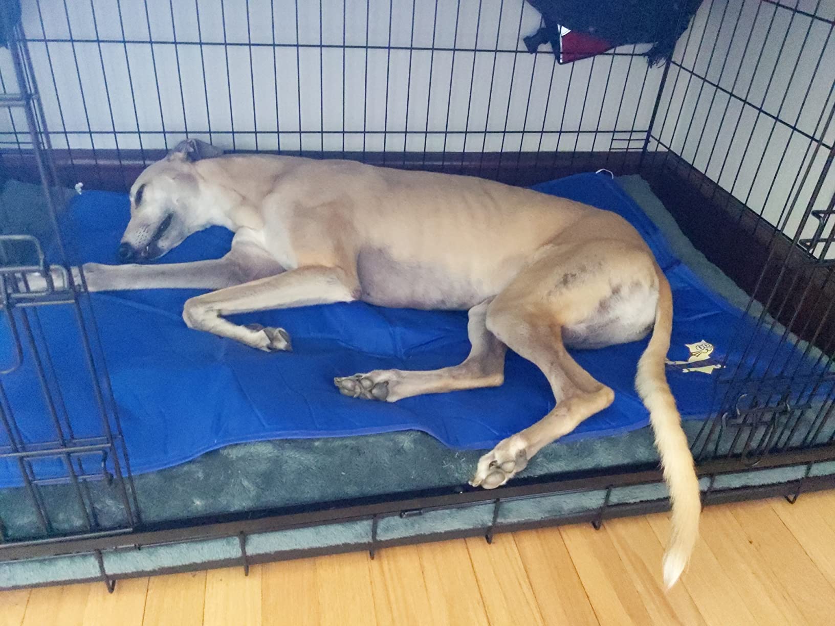 Arf Pets Cooling Mat for Dogs - Gel Self-Cooling Pad for Beds, Kennels & Crates | Durable, Non-Toxic, Pressure-Activated Relief | No Water, Electricity, Batteries or Refrigeration Needed, 20