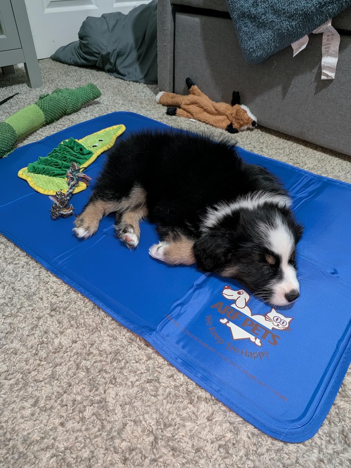 Arf Pets Cooling Mat for Dogs - Gel Self-Cooling Pad for Beds, Kennels & Crates | Durable, Non-Toxic, Pressure-Activated Relief | No Water, Electricity, Batteries or Refrigeration Needed, 20