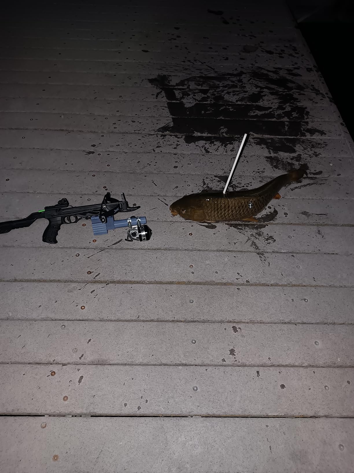 BALLISTA Spincast Bowfishing Reel Slingshot Bow Fishing, Stainless Steel, Left/Right Reversible Handle customer photo 1