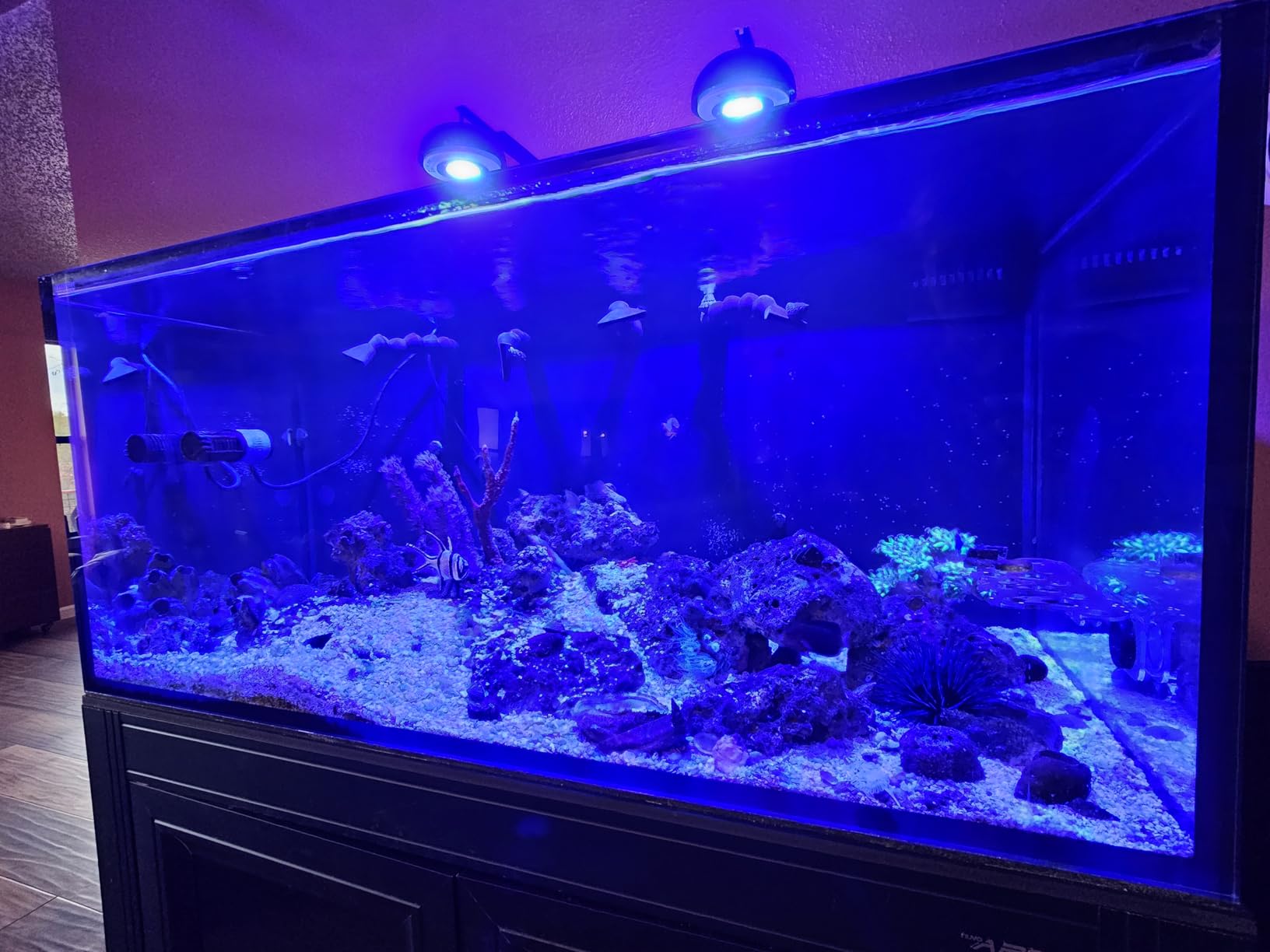 FZONE Aquarium Wave Maker, 24V DC Gyre Wavemaker with LCD Display Controller, Adjustable Cross Flow, Quiet Powerhead with Magnetic Mount for Saltwater & Freshwater Tanks (M) customer photo 1