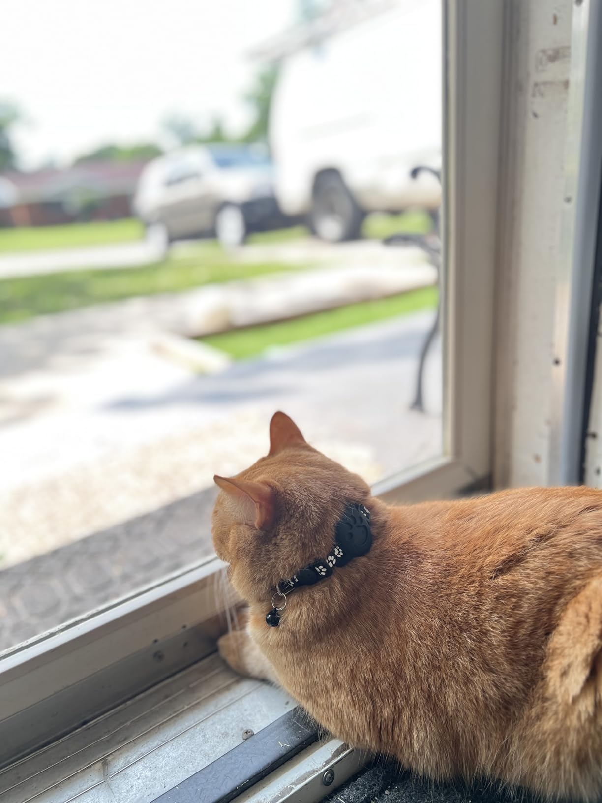 Cat Tracker GPS Collar for Cats Electronic Pet Locator (Only iOS) Waterproof Compatible with Apple Find My No Monthly Fee Ideal for Small to Large Cats Advanced Tracking Solution Smart Collar customer photo 2