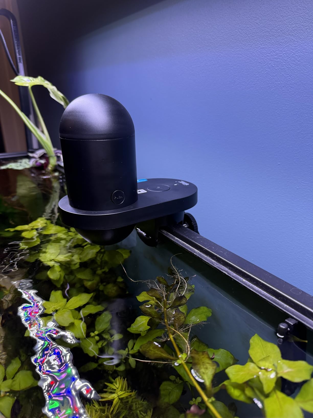 hygger WiFi Automatic Fish Feeder for Aquarium, Smart App Control Auto Fish Food Dispenser with Camera and Timer, Vacation Feeder with 230ml Large Capacity and USB Cable for Turtle Betta Koi Tank customer photo 1