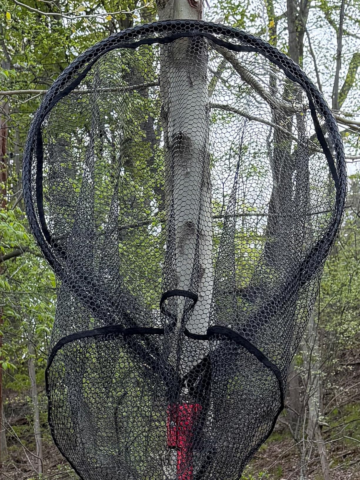 High Strength Heavy Duty Extra Large Aluminum Landing Net - Telescoping Handle (67-85inch), 27in Net Opening for Saltwater Fishing, Boat, Pier, River Angling customer photo 1