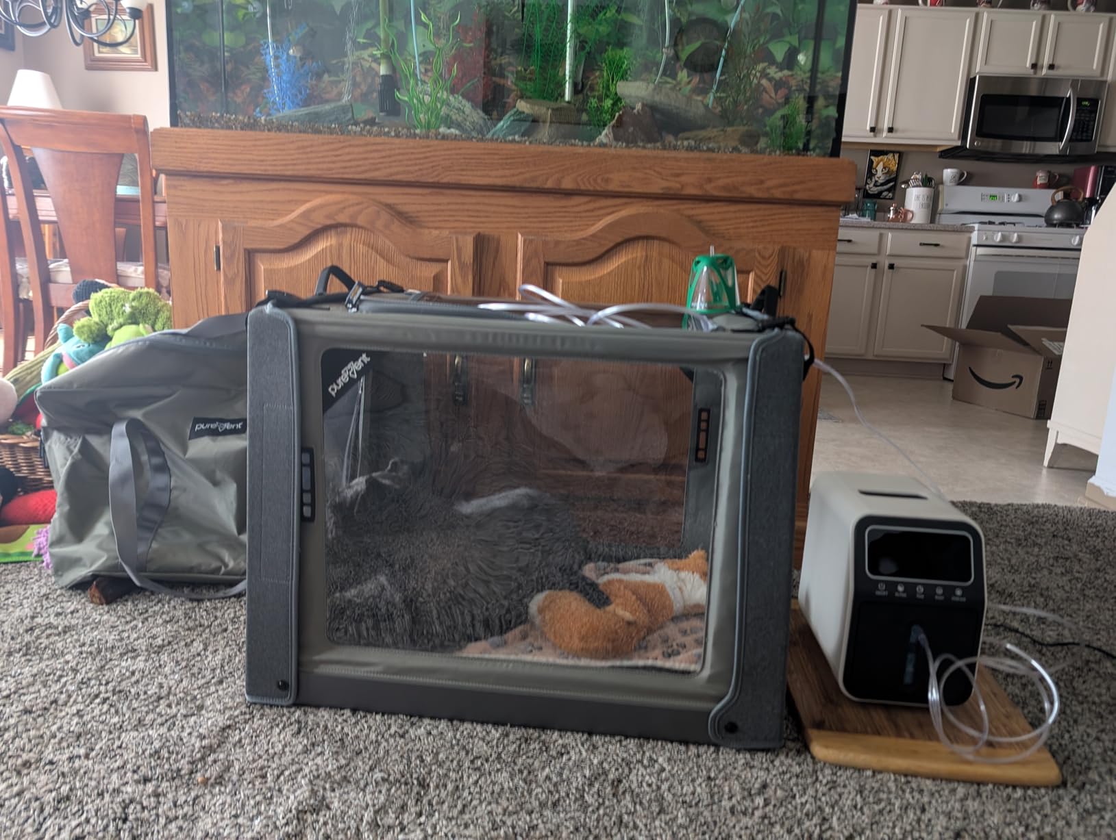 PureVent Pet Oxygen Chamber - Safe Veterinary-Grade Oxygen Therapy Cage for Dogs, Cats, Birds and Animals - Built-in Ventilation (Large - for Pets up to 70 lbs) customer photo 1