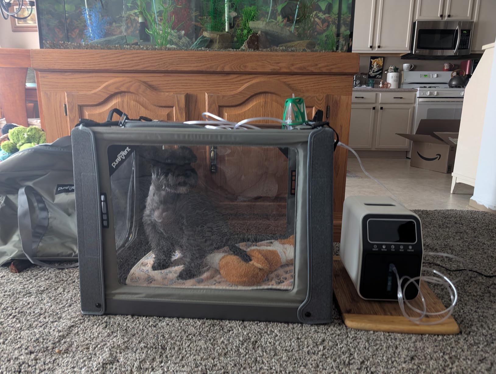 PureVent Pet Oxygen Chamber - Safe Veterinary-Grade Oxygen Therapy Cage for Dogs, Cats, Birds and Animals - Built-in Ventilation (Large - for Pets up to 70 lbs) customer photo 2