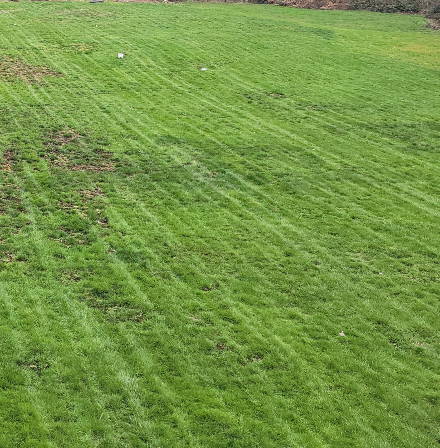 Mammotion LUBA 3 AWD 5000H Robot Lawn Mower for 1.25 Acres, 360 LiDAR+NetRTK+AI Vision Tri-Fusion Positioning, All-Wheel-Drive for 80% Slopes, 50 Multi-Zone Management, Cutting Height 2.2-4.0 customer photo 1