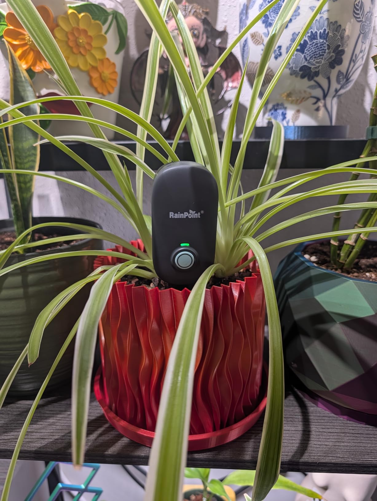 RAINPOINT Bluetooth 2-in-1 Soil Moisture & Air Temp Meter, App Remote Monitoring, 20 Plant Database, Compatible with WiFi Hub TWG009 & Water Timer ITV102b customer photo 2