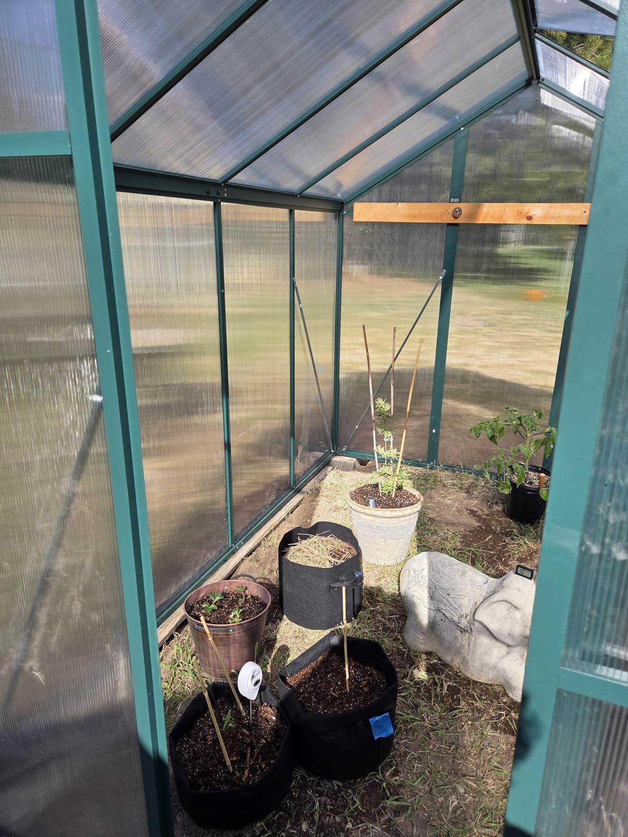 GarveeHome 6X8 FT Greenhouse, Walk-in Greenhouse Kit with Aluminum Frame, Polycarbonate Panels, Adjustable Roof Vent, Sliding Door, Secure Lock for Outside Garden, Patio, Backyard customer photo 2