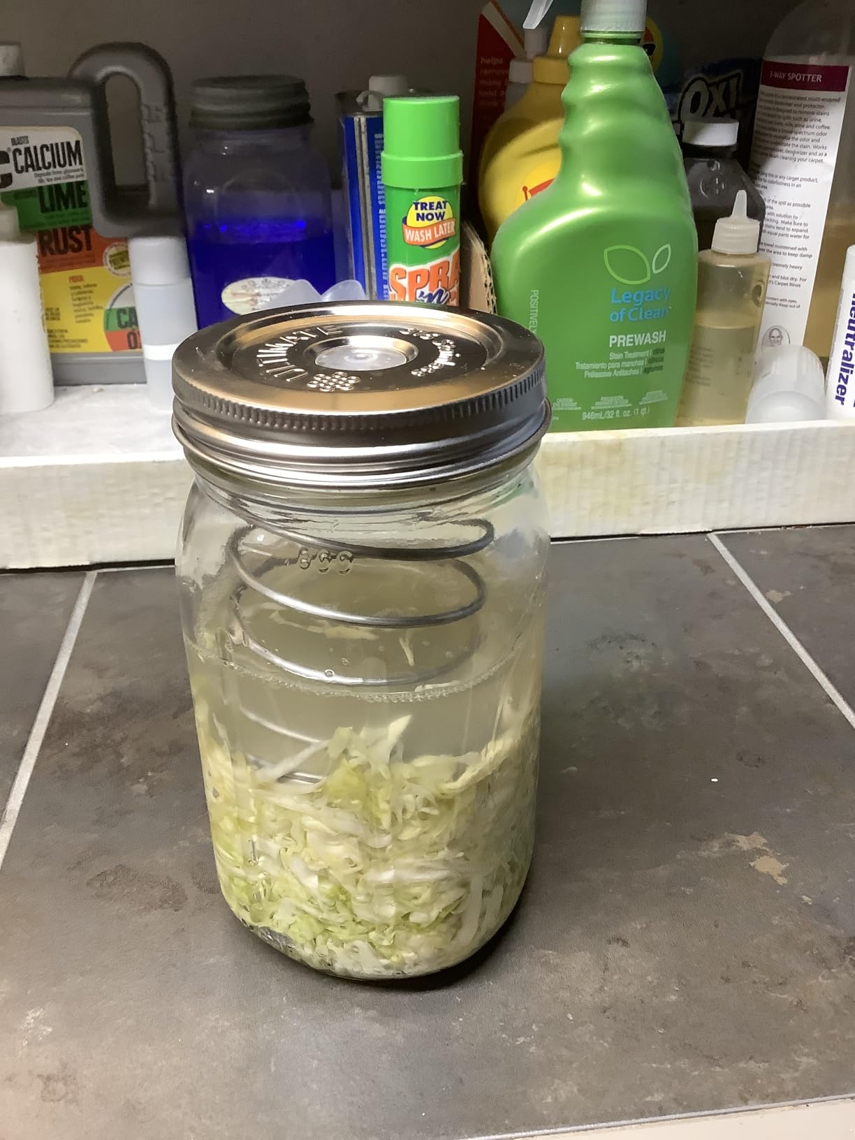 Ultimate Fermentation Kit to Make Perfect Pickles, Sauerkraut, Kimchi & Probiotic-Rich Vegetables, Easy Pickling Kit for Wide Mouth Mason Jars with Venting Lids & Fermenting Springs + Free Guide customer photo 1