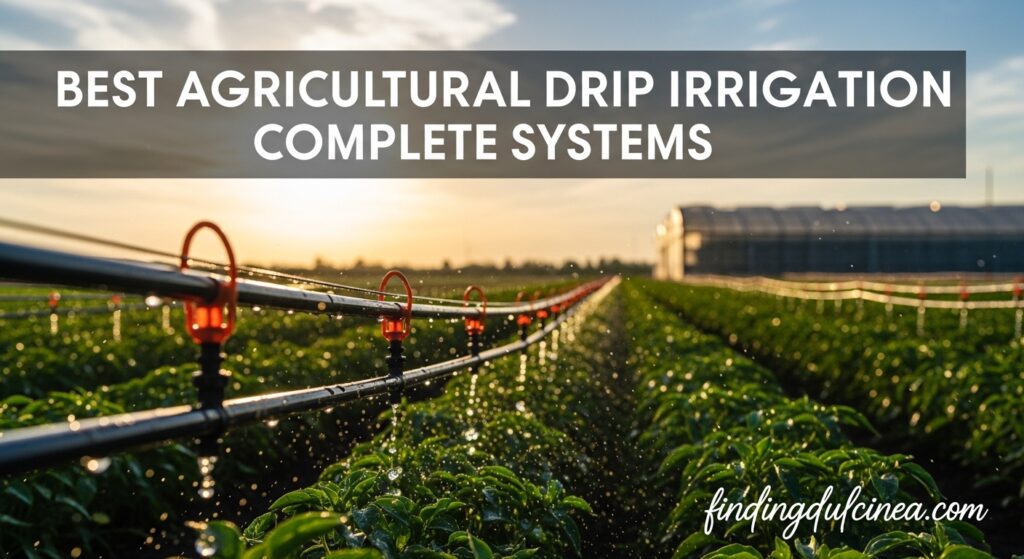 Current image: Best Agricultural Drip Irrigation Complete Systems