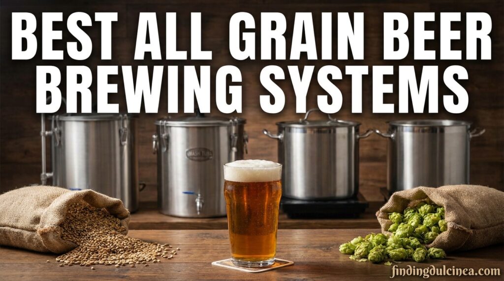 Current image: Best All Grain Beer Brewing Systems