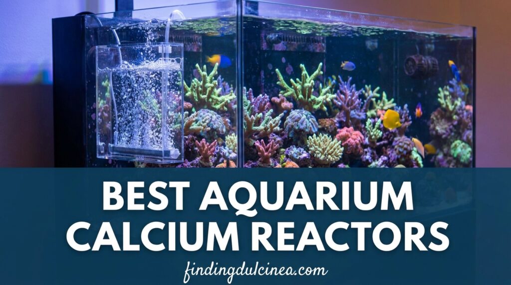 Current image: Best Aquarium Calcium Reactors