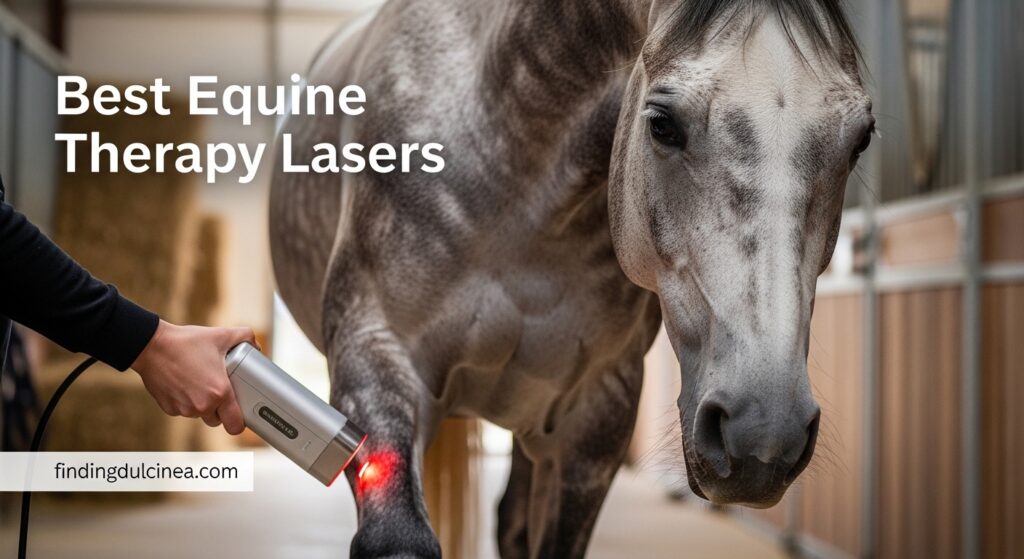 Current image: Best Equine Therapy Lasers