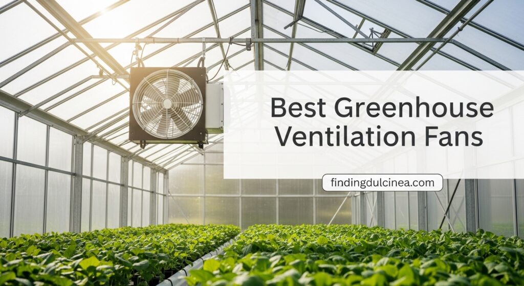 Current image: Best Greenhouse Ventilation Fans