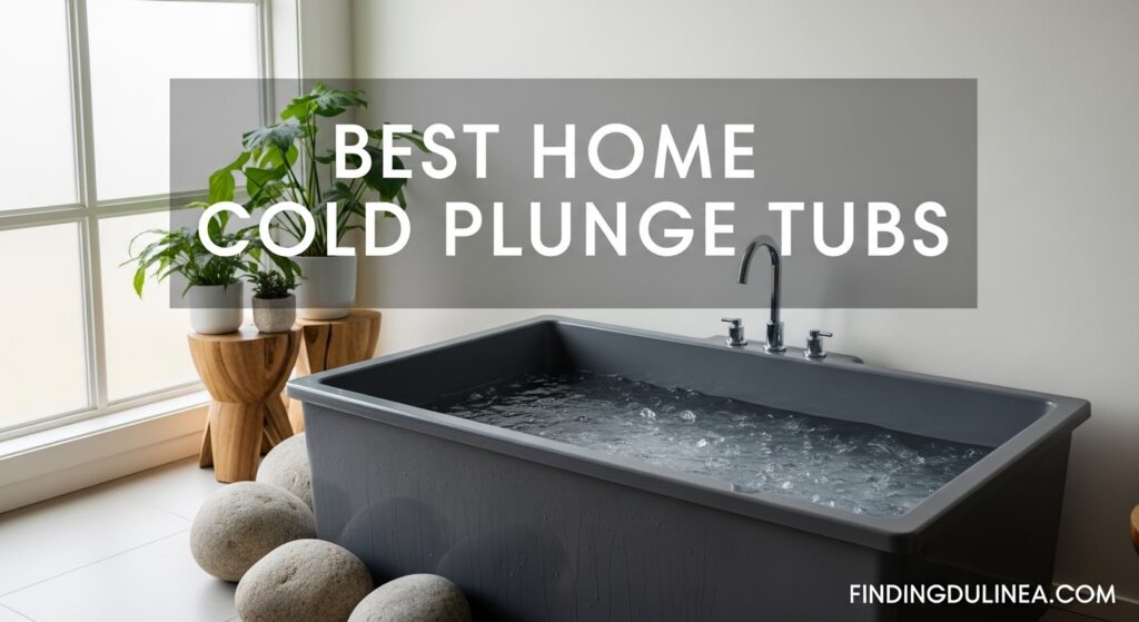 Current image: Best Home Cold Plunge Tubs