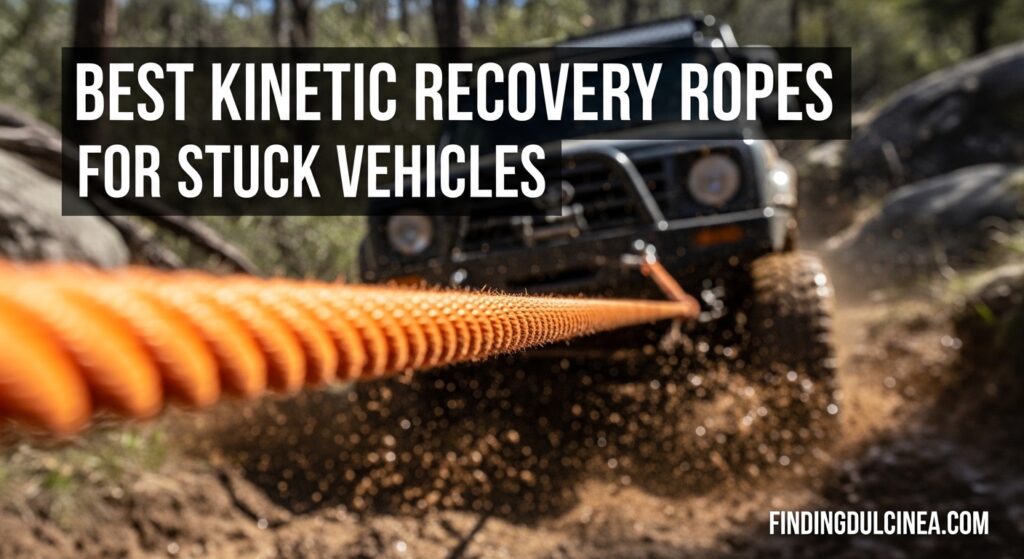 Current image: Best Kinetic Recovery Ropes for Stuck Vehicles