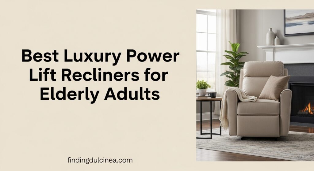 Current image: Best Luxury Power Lift Recliners for Elderly Adults