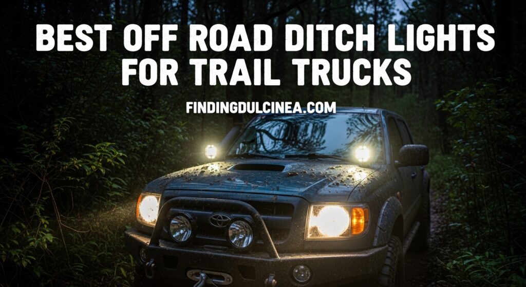 Current image: Best Off Road Ditch Lights for Trail Trucks