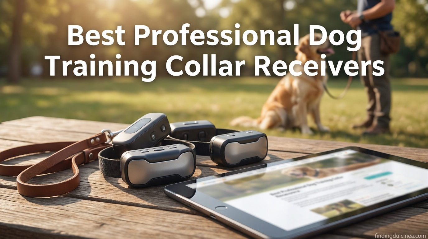 Best Professional Dog Training Collar Receivers