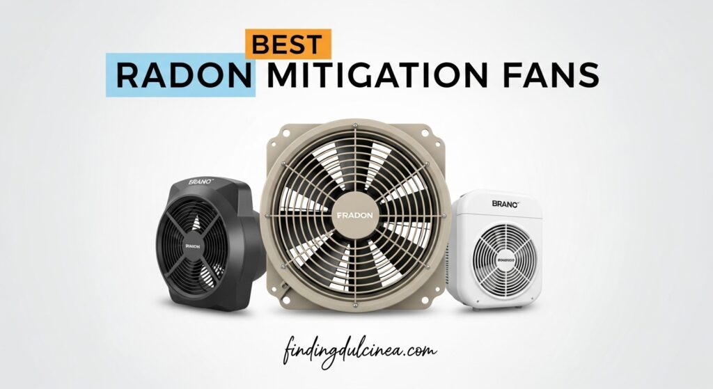 Current image: Best Radon Mitigation Fans